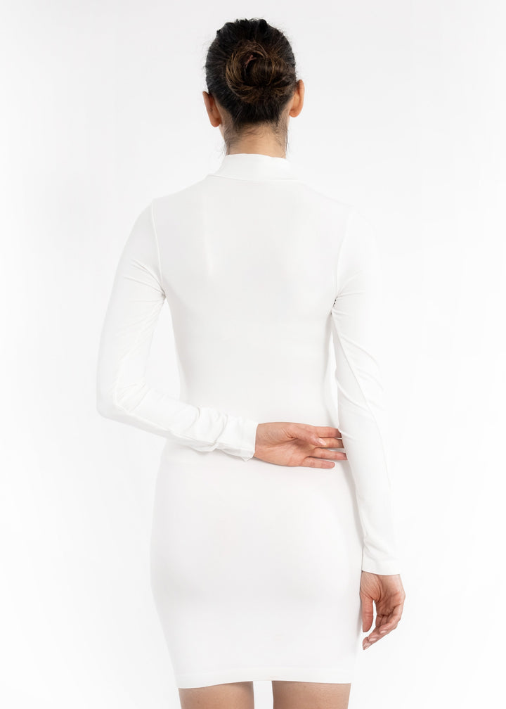 Turtleneck Solid Long Sleeve Dress – MY ELIETIAN
